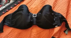 Clearance Panache Bikinit yläosa 85G, olkaimeton