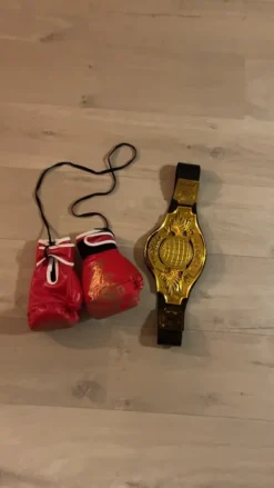 Online Temashop Bokse Kostume