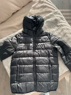 Online Champion toppatakki | Vinted