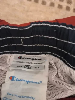 Best Champion Chapmion