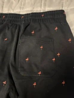 Best FSBN College shortsit