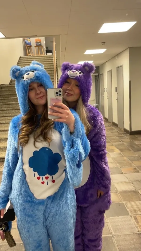 Best Care Bears Halinalle asu