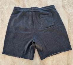 Best Hollister shortsit