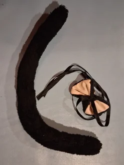 Sale Kissan häntä ja -kulkunen