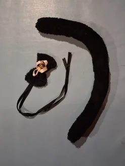 Sale Kissan häntä ja -kulkunen