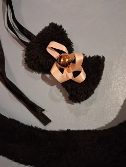 Sale Kissan häntä ja -kulkunen