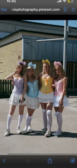 New Shein lila corset