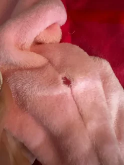 Sale kigukigu Nasu penkkariasu