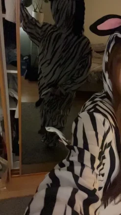 Sale funidelia penkkari asu