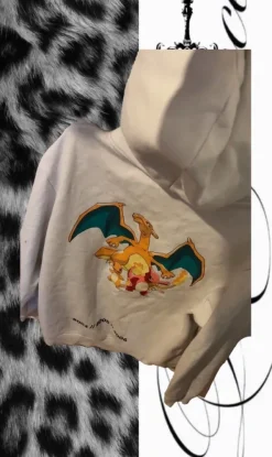 Discount Pokemon hoodie, print on the back