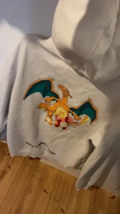 Discount Pokemon hoodie, print on the back