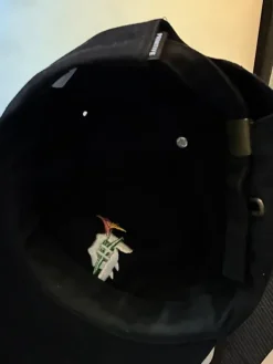 Best Primitive lippis