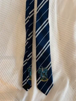 Hot Ravenclaw tie