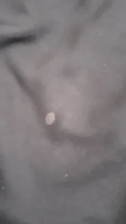 Hot Black Squad Shortsit