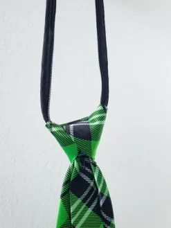 Hot Vihreä kravatti ja j-rock pinssi